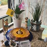 Smile Nuova Gestione Hotel